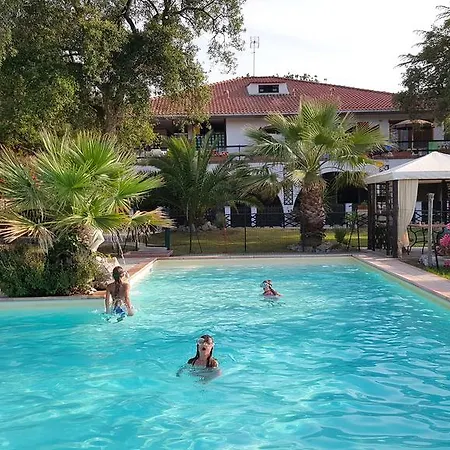 Oasis
