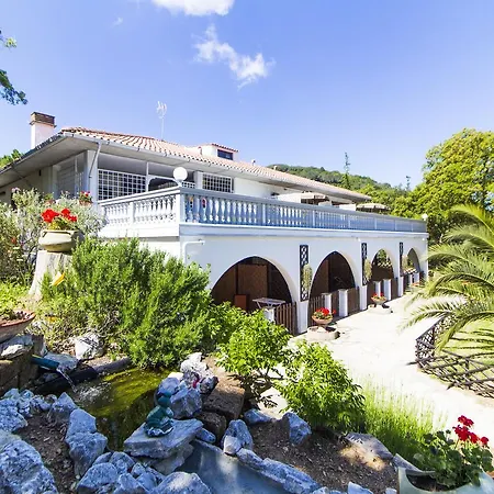 Oasis 4*