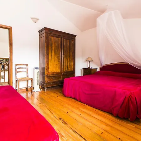 Oasis Aparthotel
