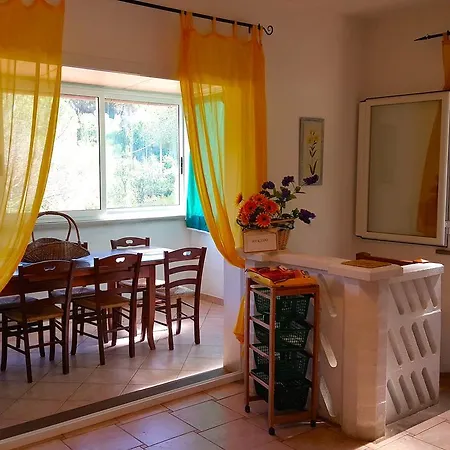 Oasis Aparthotel 4*