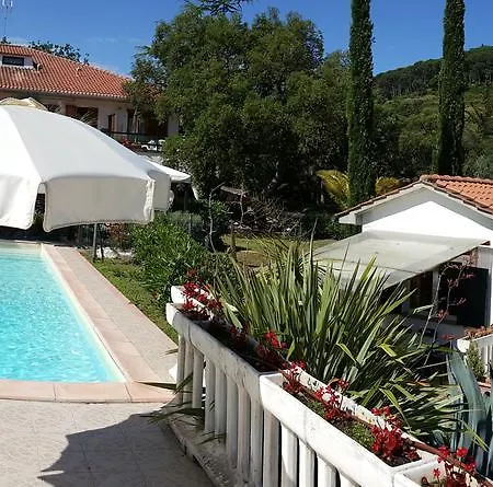 Oasis Aparthotel